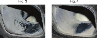 Engine valve oil deposits