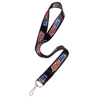Lanyard