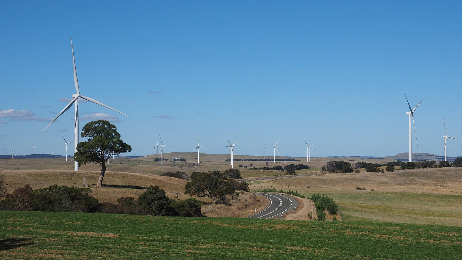 How Much Oil Does a Wind Turbine Use?